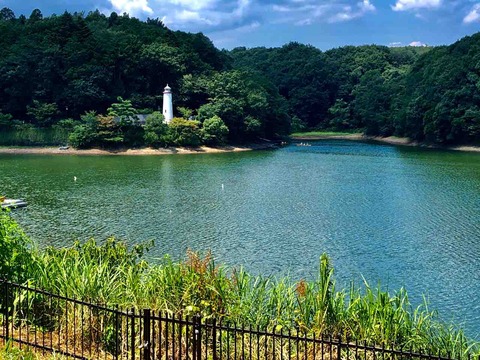 湖からの風が心地よく