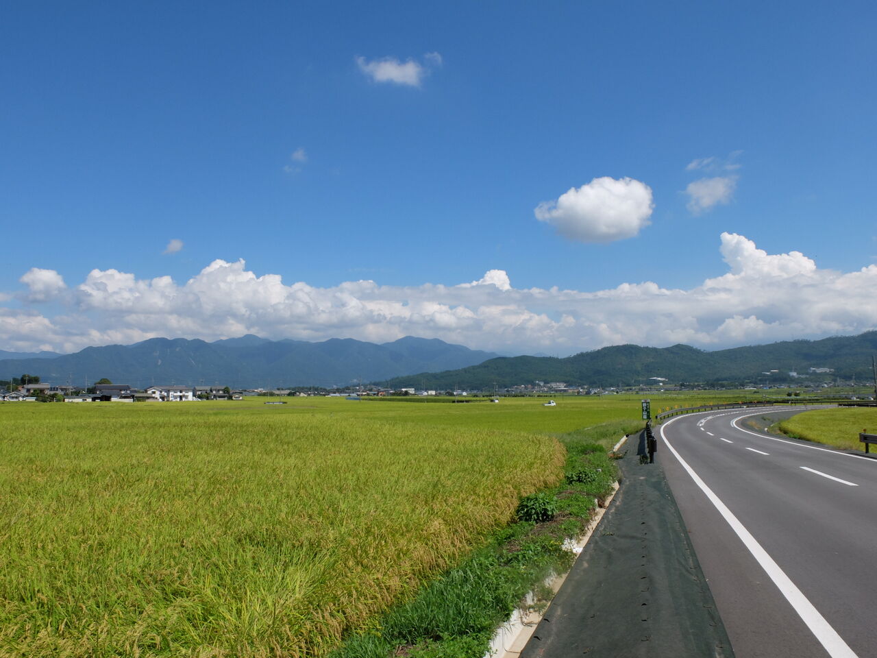 色づき始めた田園地帯