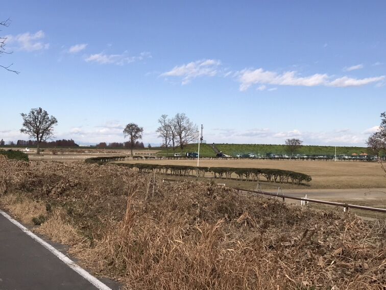 牧場の草原