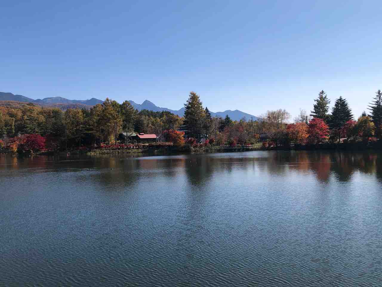 蓼科湖の景色