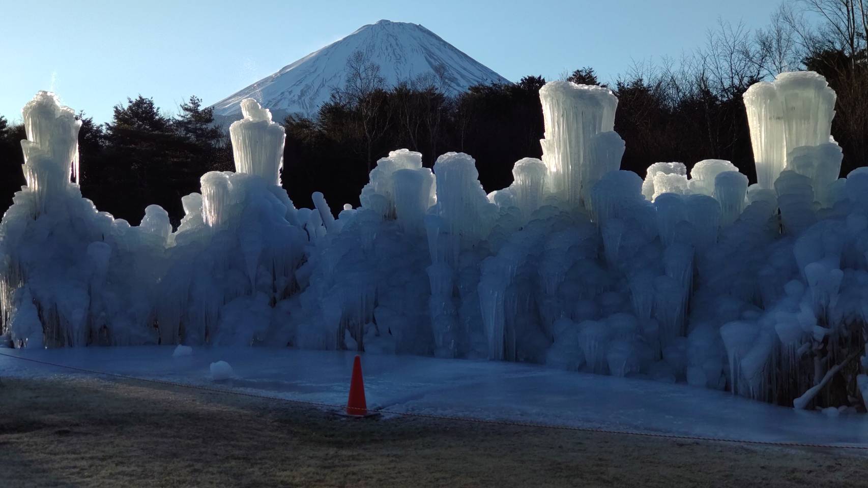 氷で覆われた木々