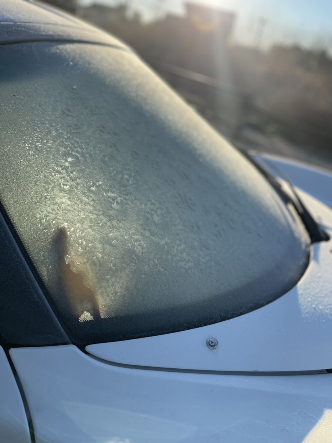 車が凍る朝