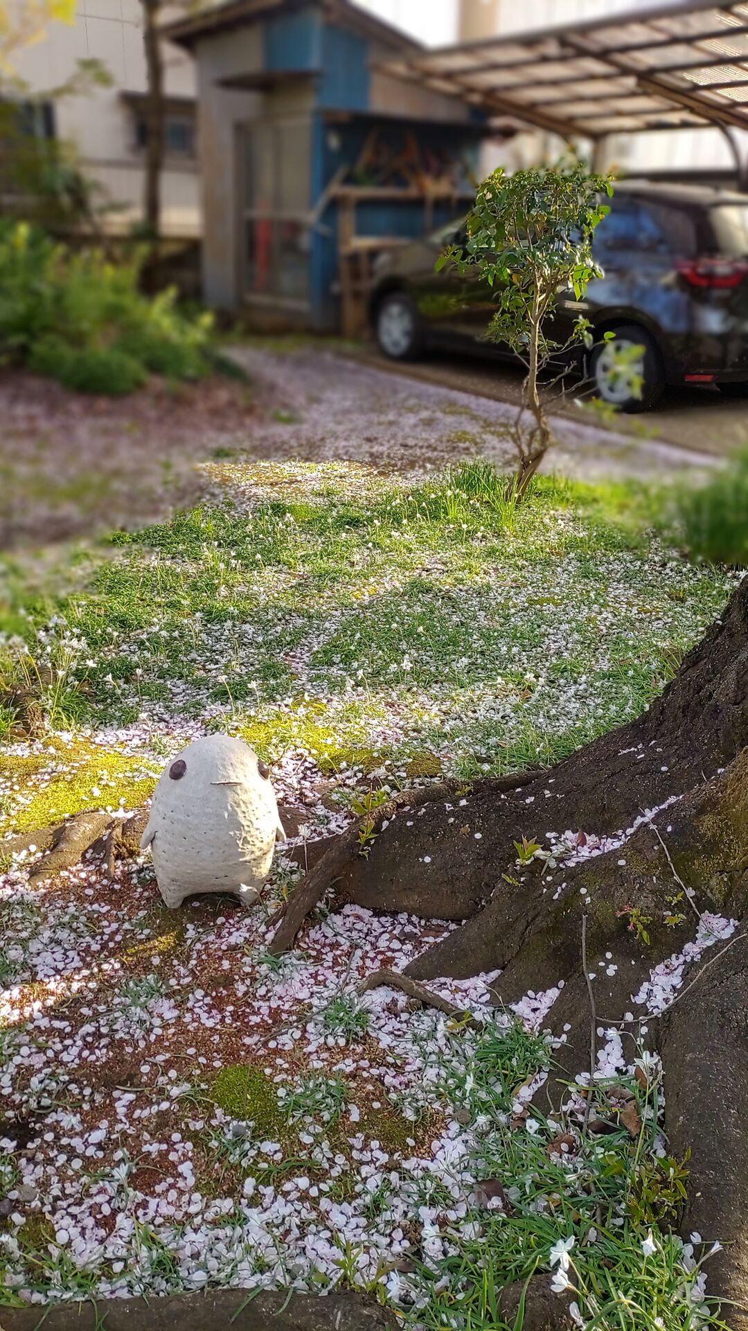 桜が楽しめる庭園