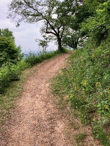 春日山登山