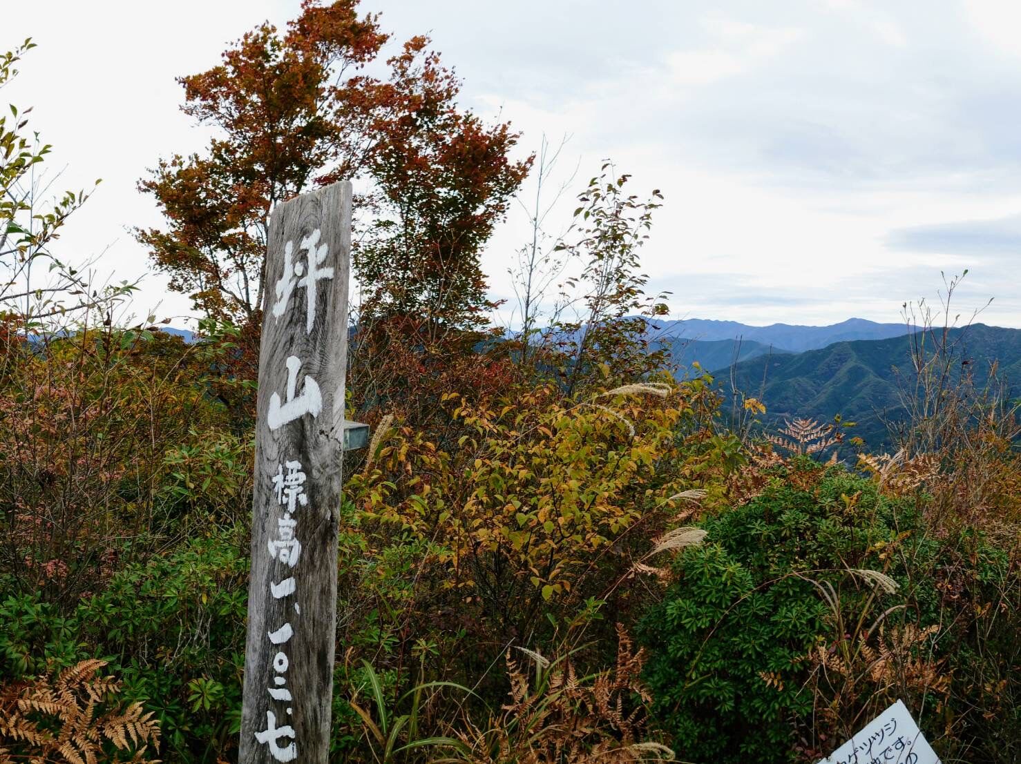 坪山の頂上