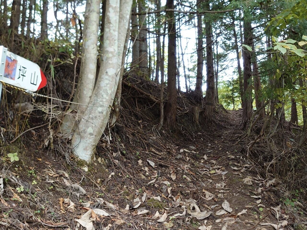 坪山の山登り