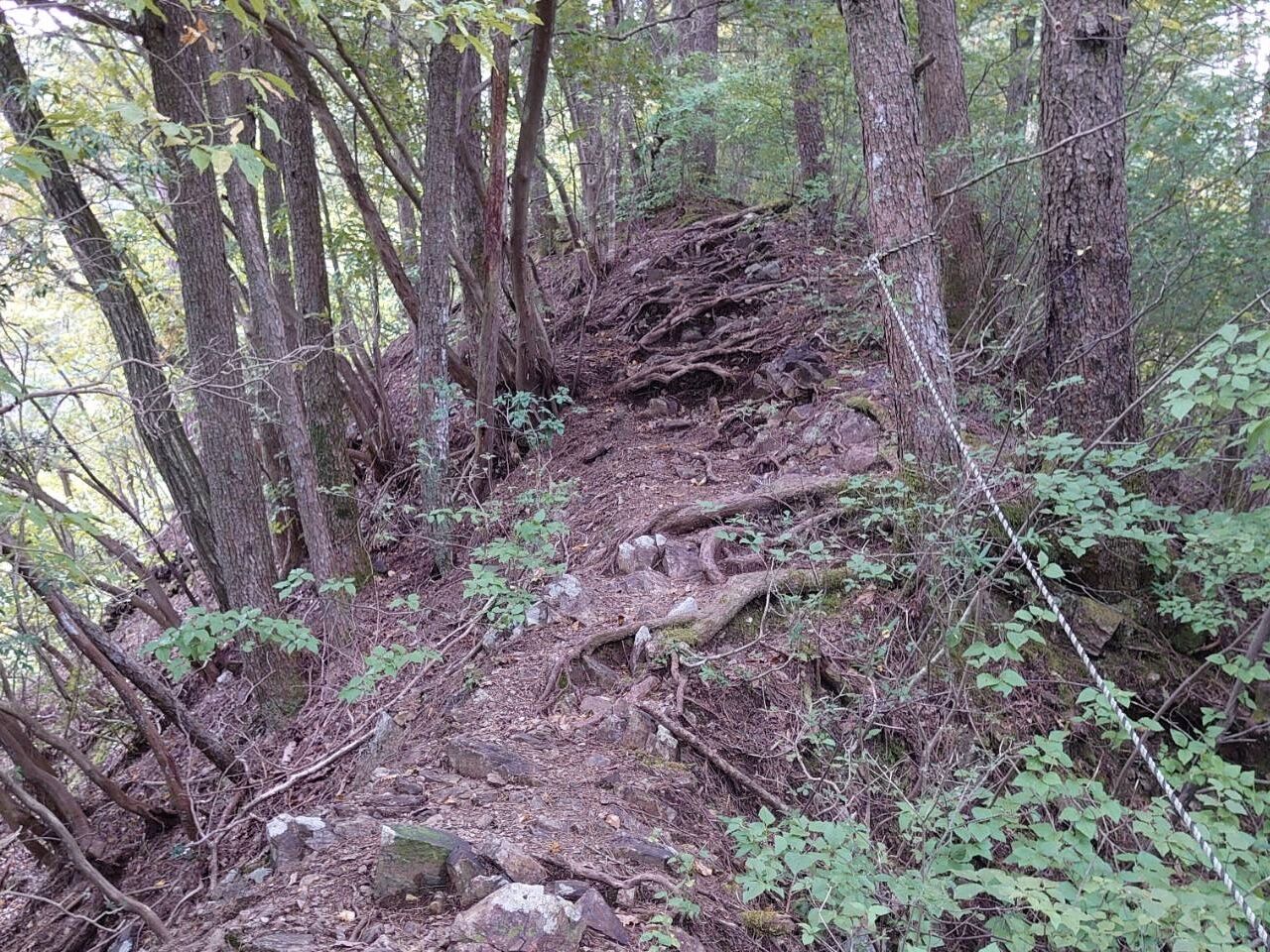 坪山の登山""