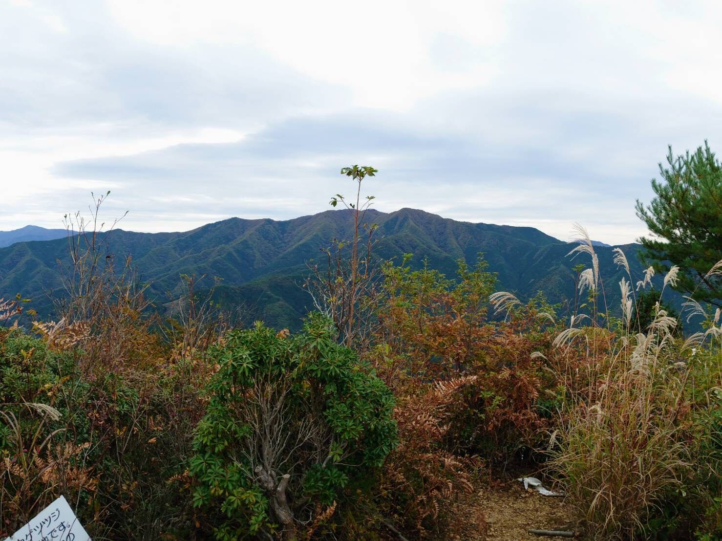 坪山の綺麗な風景